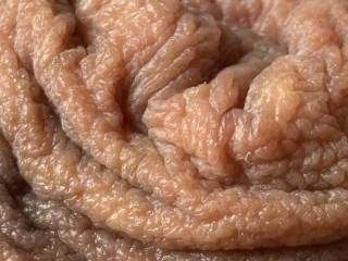 Fascinating foreskin.