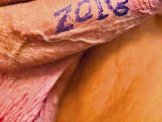A veiny penis with the ZOIG brand.