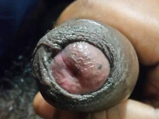 1st Dicpic