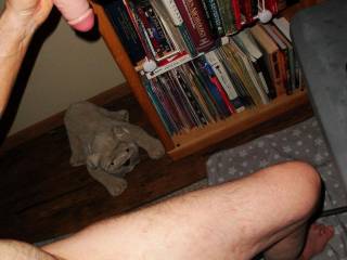 A side view of my very lubed dick, hair and skin after my 5TH toy play with a new toy as I sit on a bar stool. One of the W290 camera`s was used.