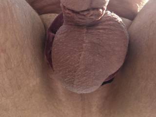 Like my balls please