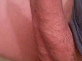 Hard throbbing cock