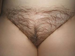 her yummy hairy pussy i love so much !