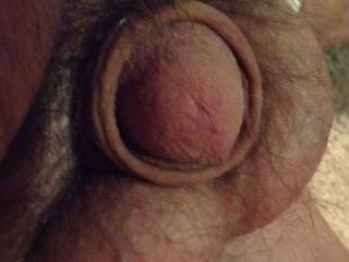 retracto dick