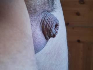 Tiny foreskin cock