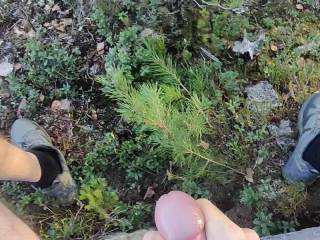 Nice little spot in my favourite forrest.