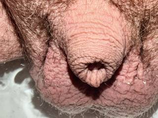 Pathetic little dick here.