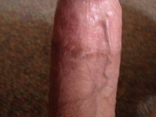Cock