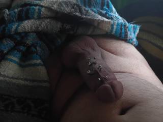 my peirced native cock