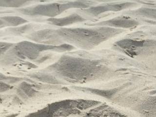 Cum on her sexy sandy foot