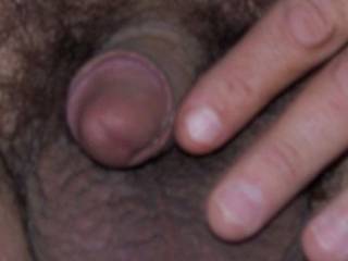 she zoomed in a close as camera would allow!  I rolled back the foreskin to let you see its head!