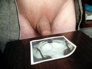 Cock tribute to my friend Carilda