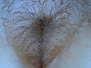 Just a pic of my hairy pussy. I\'d love to have a cock or some cum all over it....