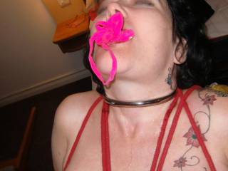 At the Premier Inn, Eastbourne for some bondage fun!
That gag is her Thong in her mouth! (purchased  specially) 
The collar is pretty obvious in her daily life.