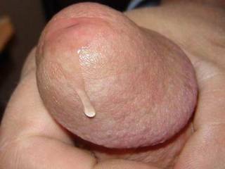 Close up of my cock head with precum