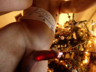 TAG: DEC18 merry cock christmas , joyeux noël