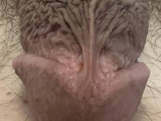 Soft closeup