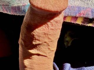 He popped out to get some midday sun.