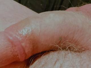 It\'s my dick again