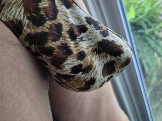 On the prowl for some tight pussy and ass.