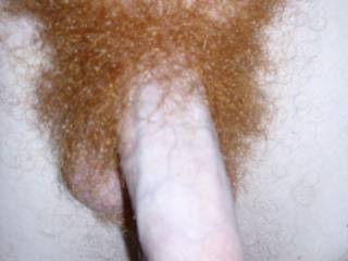 My cock