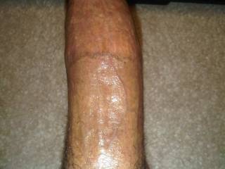 my cock