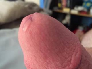 Just a shot of my precum as I masturbate to the videos of zoig