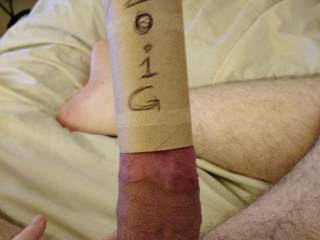 What do you all think about girth? Does this mean I pass or fail the "toilet paper roll test"?

And for those curious, the head goes up into the i, almost up to the o.