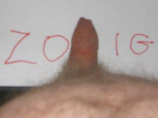 I laid him on the paper and took a picture. He needs a lady to arouse him!!