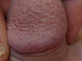 Christmas  Morning start up picture