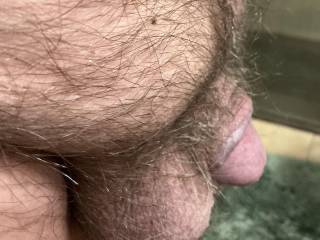 Just trimmed my pubes a little!