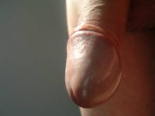 cock