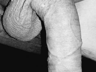How do you like it in black and white