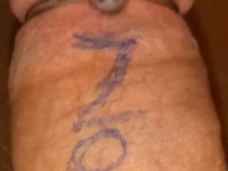 Zoig 3