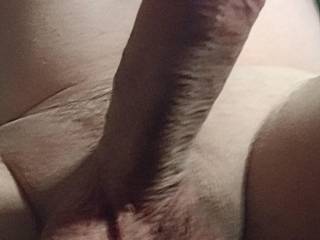 Like my cock?