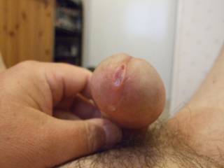my fren and a drop of precum from my very flaccid dick
