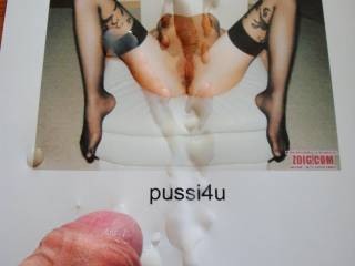 tribute for Pussi4u