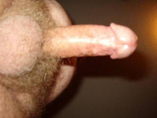 any laadies wanna lick it for me?
