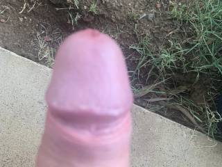 Peek a boo where are you? Dam I wish I could meet a fellow zoiger and have some fun and pics