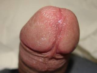 who wanna suck me?