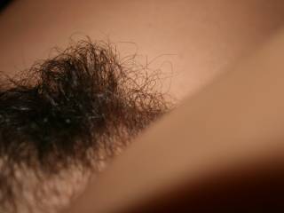 YES Very Nice and Artistic "Hairy" Pic!!!!