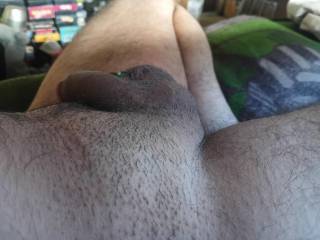 cock