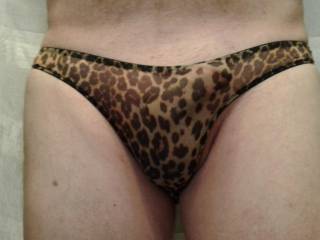 Running out of room as I took a few more photos in my sheer leopard panites. Guess who likes showing off?