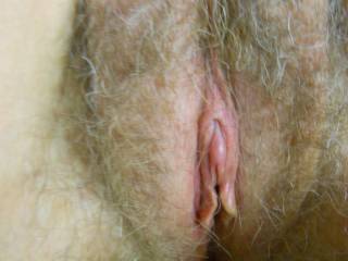 perfect pussy