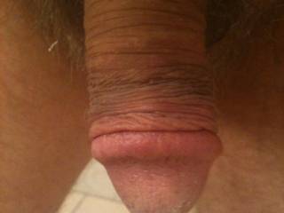 dick closeup