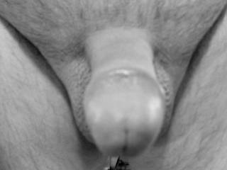 You can look and please touch.
