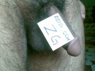 become a ZG++