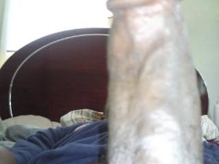 morning wood, any takers?