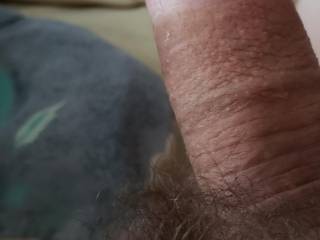 My hairy fat little cock