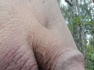 Bushwalking at a nudist camp